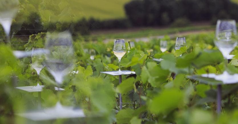 Quanto Costa Una Bottiglia Di Dom Perignon
